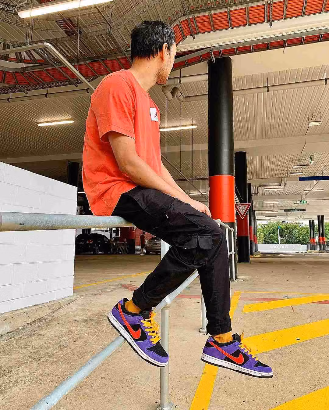 Nike SB Dunk Low Pro 'ACG Terra' BQ6817-008 Nike SB Dunk Low Pro 'ACG Terra' BQ6817-008